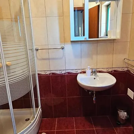 Villa Ruzin Dvor Donji Vinjani