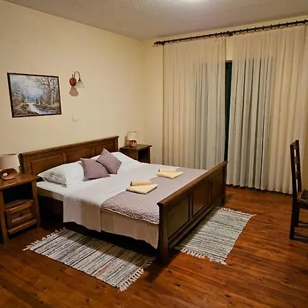 Ruzin Dvor Villa Donji Vinjani