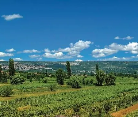 Ruzin Dvor * Donji Vinjani